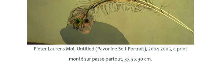 Pieter Laurens Mol « passage souterrain »- Exposition du 16 octobre au 15 décembre 2015