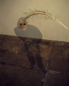 Pieter Laurens Mol, Untitled (Pavonine Self-Portrait), 2004 - 2005, courtesy Farideh Cadot & the artist